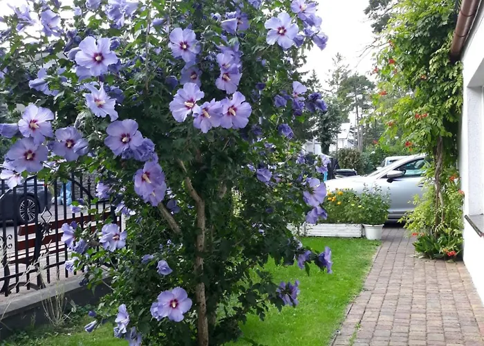 Gasthof Pod Sosnami 46